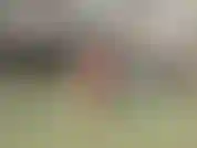 Schwimmen und sonnenbaden.