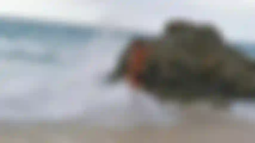 Spiele in den wellen.