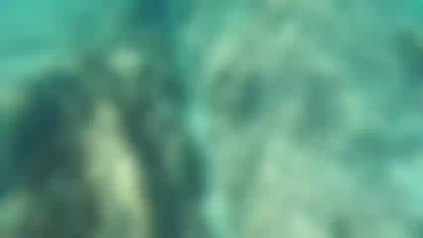 Schwimme nackt in klarem wasser.