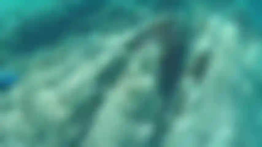 Der ein bisschen unter wasser herumalbert.