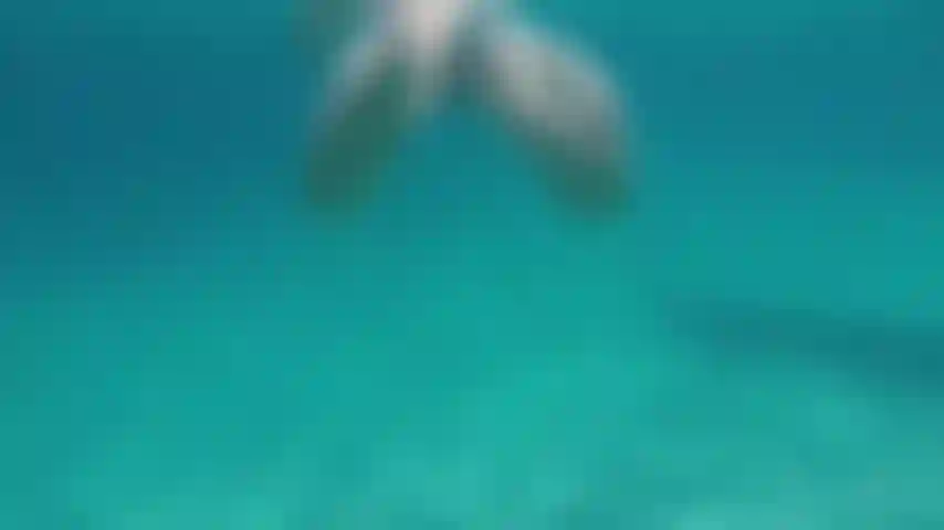 Swim naked and free :))