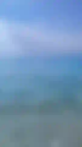 Es ist fütterungszeit am strand ;).