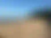 Am strand spazieren geht und dann schwimmt.