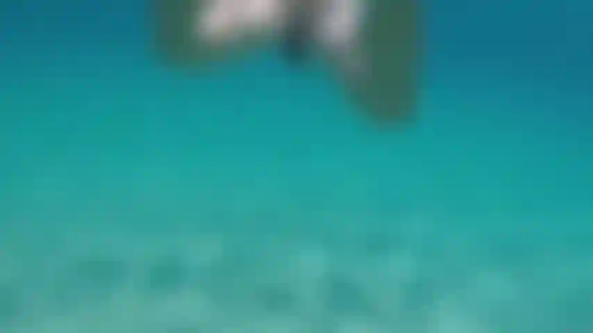 Schwimme nackt im klaren wasser.