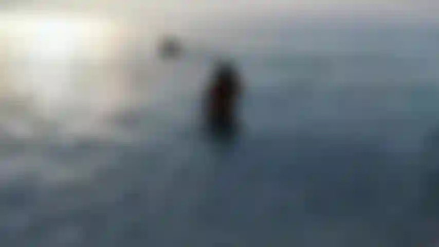Schwimme nackt bei sonnenuntergang.
