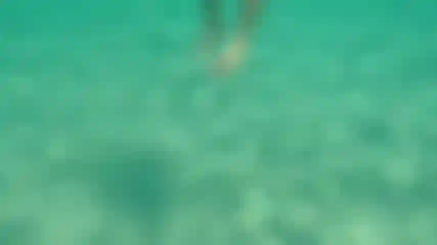 Willst du gemeinsam nackt schwimmen und schnorcheln?