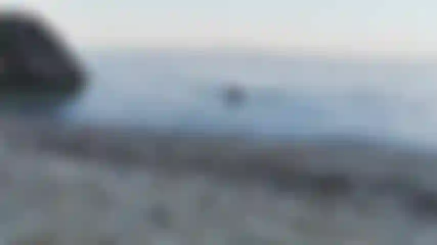 Am späten nachmittag nackt schwimmen.