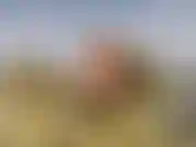 Ziehe mich aus und entspanne mich auf ein paar felsen.