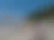 Der sich in einem brasilianischen tacho neben einem großen baum amüsiert. Die aussicht ist unglaublich.