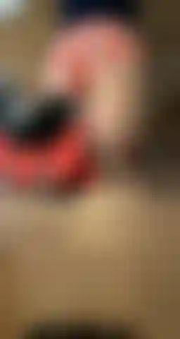 Trim. Dce17ce2-cb88-4915-9c55-883488df790d.