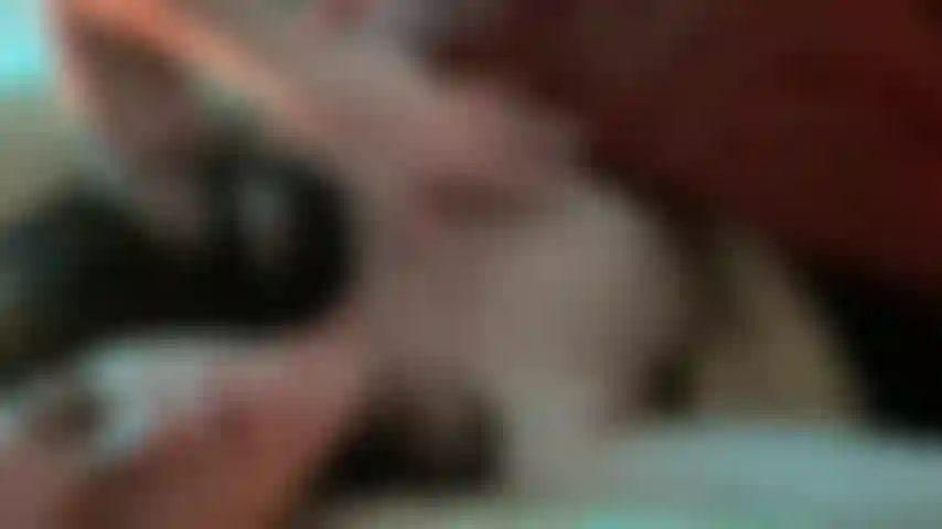 Reibe mir die titten.