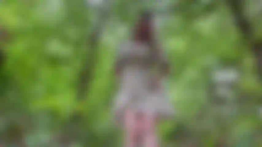 Blitze im wald auf, draußen.