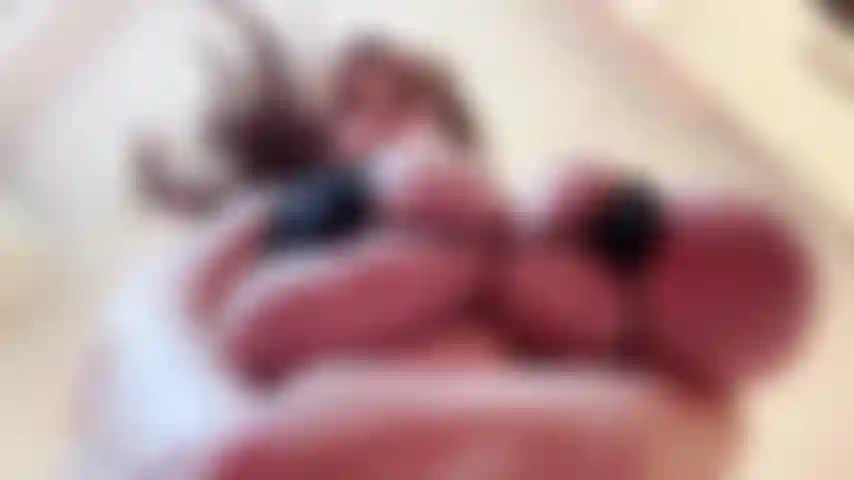 Mikrobikini, ölige brüste, die hüpfen, und dirty talk.