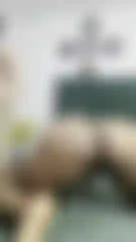 Ein weißer schwanz dehnt mein schwarzes arschloch, um zu sehen, was drin ist.