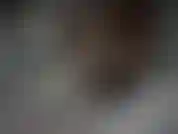 Strumpfhosenanhänger.