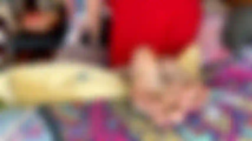 Die sohlen der roten, engen couch zeigen purpur.