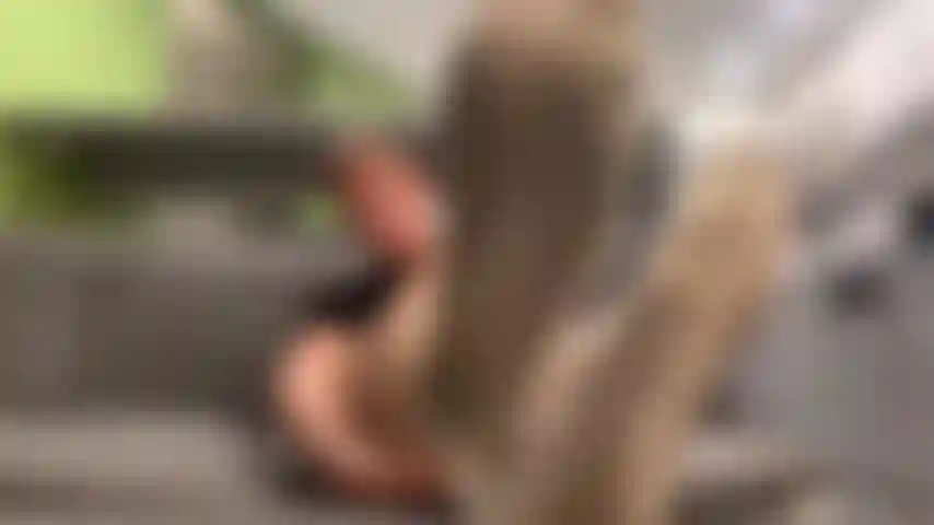 Smell My Dirty Socks