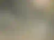 Schau dir das an... Schau nur.