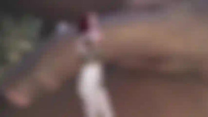 Schwuchtel für bbc.