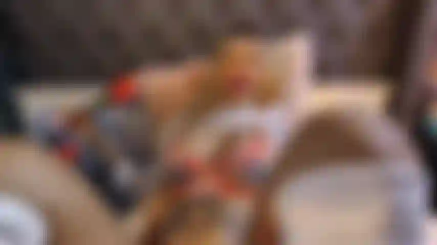 Vor dem essen gibt es den aperitif.