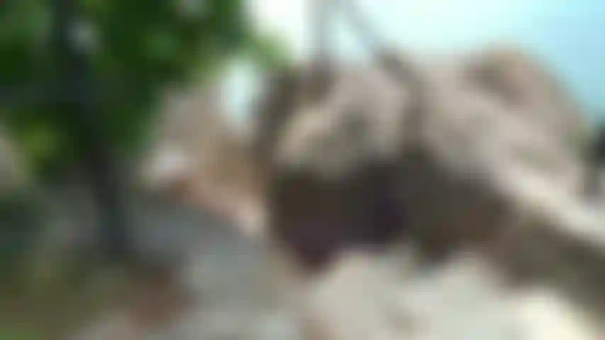 Goldenes sonnenlicht.