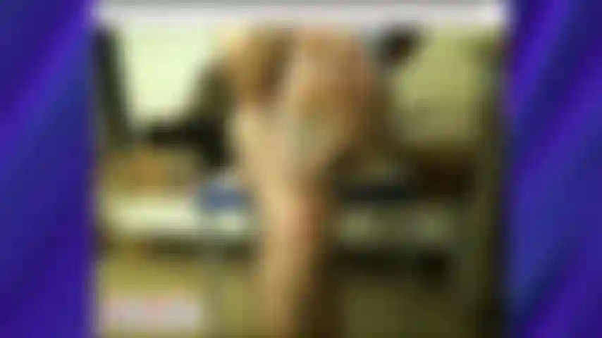 Trainer karls füße unterwegs in prag [1281].