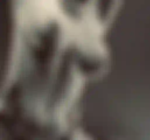 Der tittenfick von cosmic vixx.