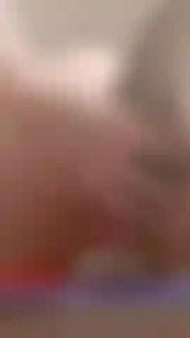 Reite mein lieblingsspielzeug mit meinem schwanz.