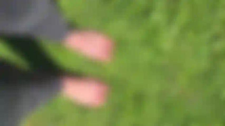 Nackte füße, die draußen auf dem gras laufen.