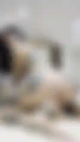 Reverse_cowgirl mit dildo.