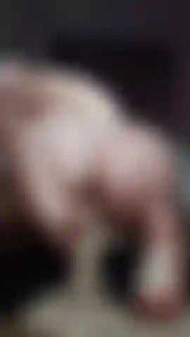 Ein reverse-cowgirl mit großem arsch, der einen dildo reitet.