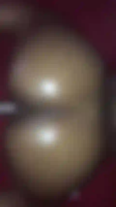 Geölte rückenaufnahmen.