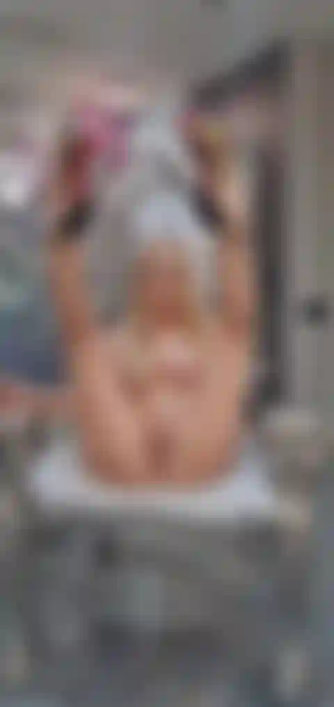 Muschispiele mit dildo und squirt.