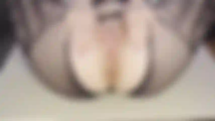 Anal fuck of the table