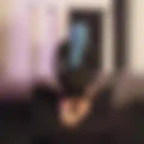 Verehre meinen eingeölten arsch und verleugne dich!