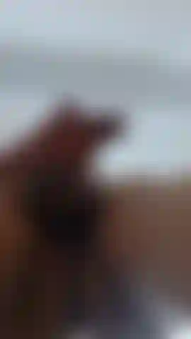 . Mein riesiger schwanz verschüttet seine ganze milch.