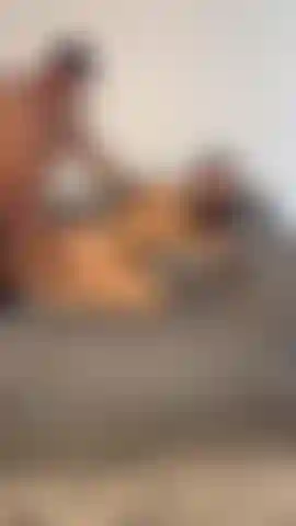 getting fucked in doggy