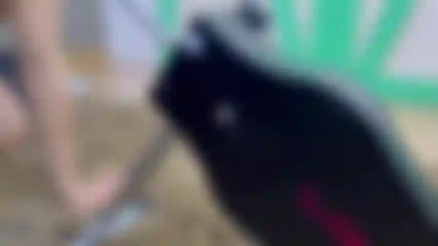 Fuckmachine blowjob teil 1.