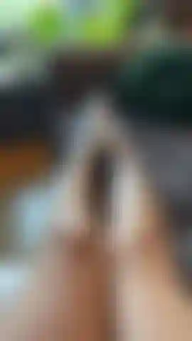 In meinen weißen turnschuhen einen fuß-teaser macht und sie langsam auszieht.