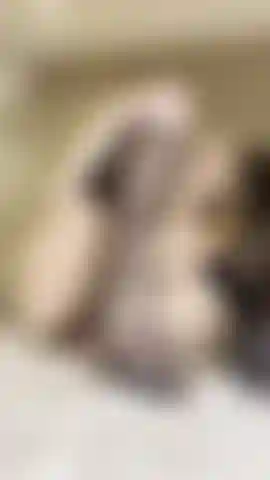 Die mit ihren bestrumpften füßen neckt.