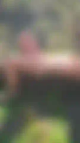 Smoke a cigarette with me in the forest