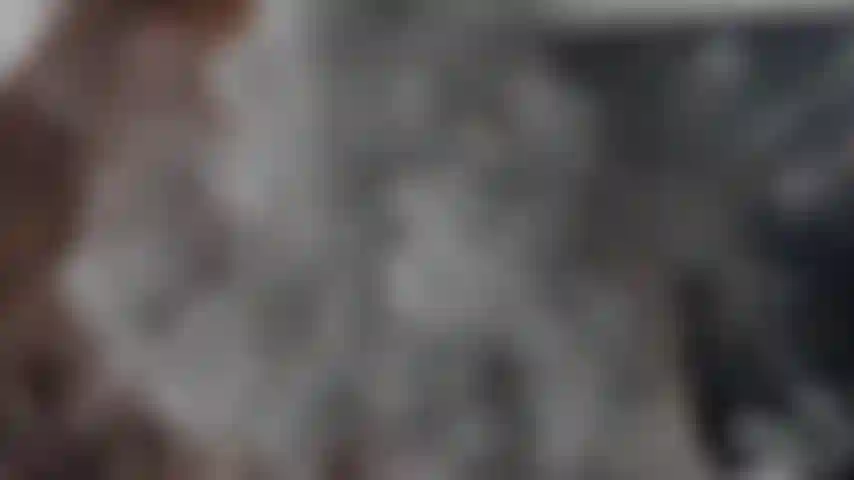 Bist du bereit, deine knechtschaft zu beginnen?