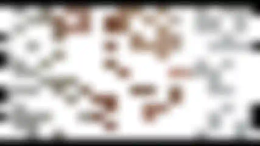 Schau, meine füße sagen hallo.