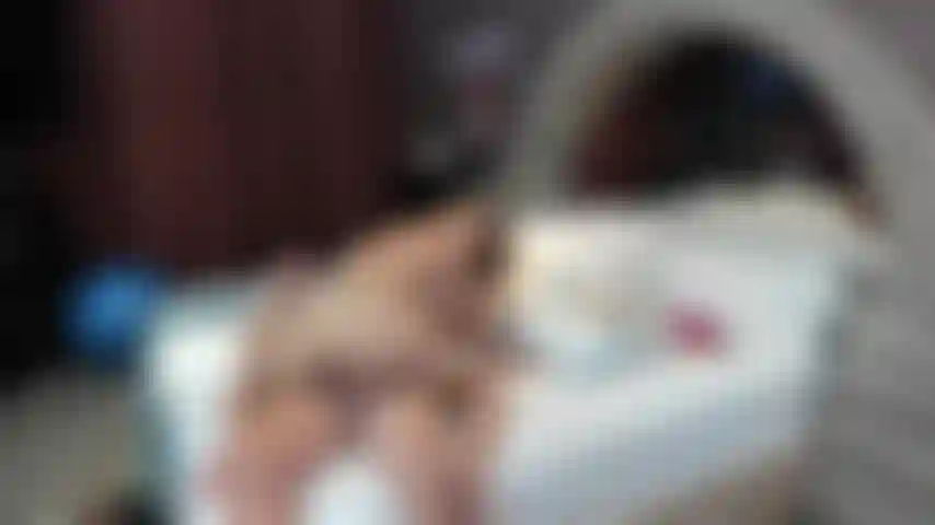 Harter sex an der spitze mit bo blake!