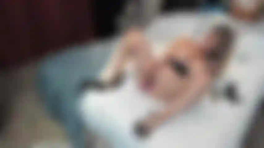 Doppelpenetration mit 2 spielzeugen solo.