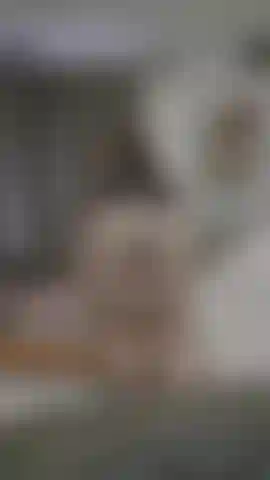Willst du zusehen, wie es auf deinem gesicht hüpft?
