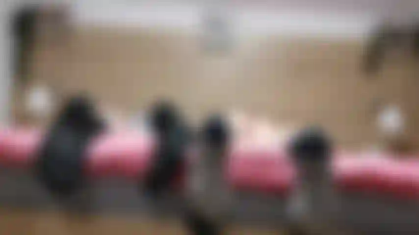 Betrogene fußschlampe - doppelte füße ignorieren, du bist mein betrogener fußsüchtiger ehemann. Nachdem sie den sex mit einem echten mann beendet haben, haben sie das glück, ins schlafzimmer gelassen zu werden. Wie fühlt es sich an, direkt am ende des bettes auf dem boden zu knien und ignoriert zu werden?