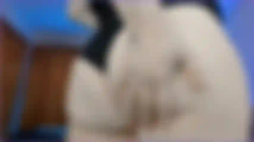 Bete meinen großen hintern an!