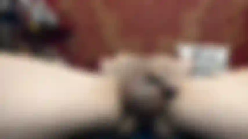 (41) GoldieStar lässt sich die fotze lecken, während sie schwänze lutscht.