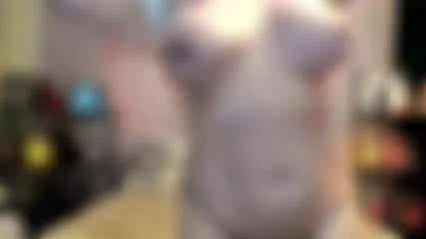 ( Gs.1045) GoldieStar tritt in einer goldshow auf – 7:59 minuten. Große titten, großer arsch, gilf, behaarte muschi, squirting, höschen stopfen, anal, dp, öl, nackte füße (14.07.2023, 04:47 Uhr)_1689324447868.